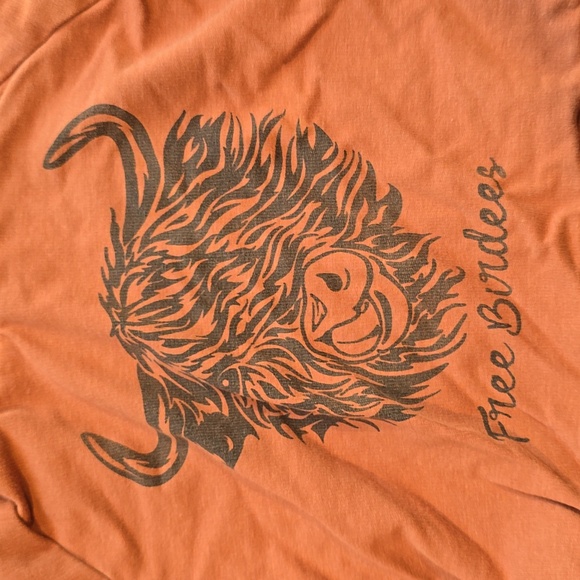 Free Birdees Rust Orange Highland Cow Hoodie & Joggers Set | Size 2T | Viscose/ - Picture 6 of 7